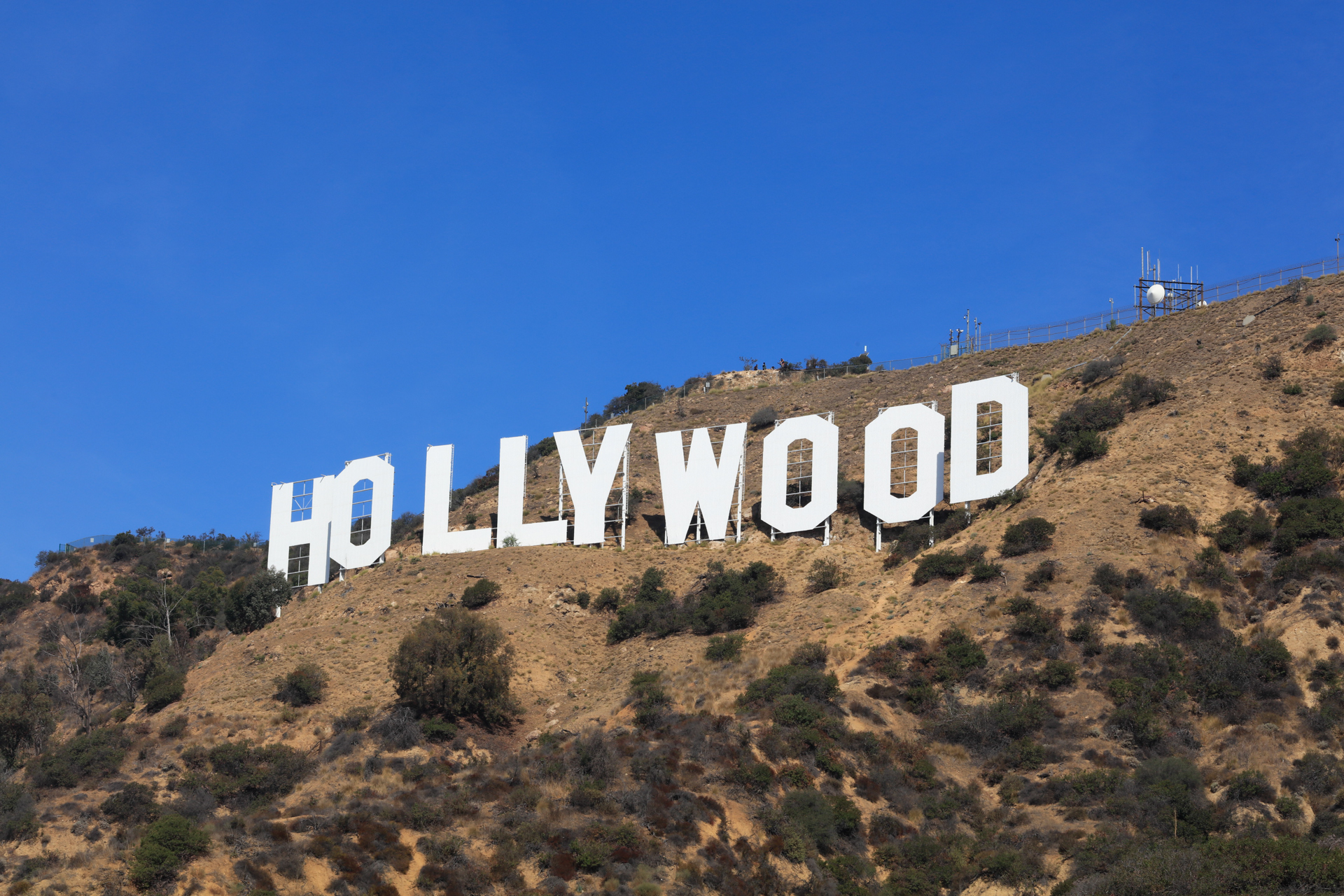 Hollywood Sign hillside closeup